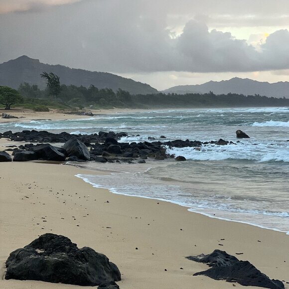 Women’s decorative fashion hats worn once (Men's was sold) - Picture 3 of 3